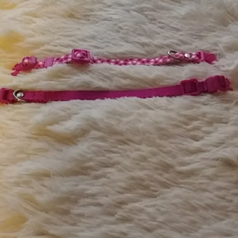 Animal Collars - Picture 3 of 4